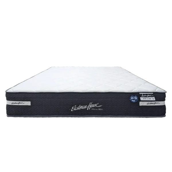 EH_E300