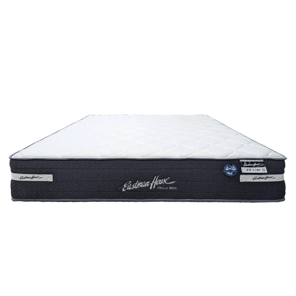 EH_E300
